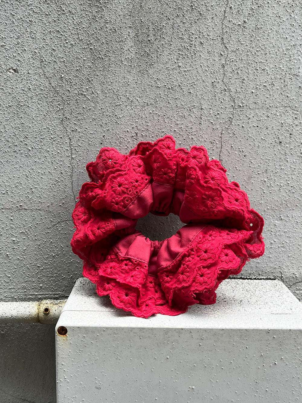 French Blue Red Daisy Embroidered