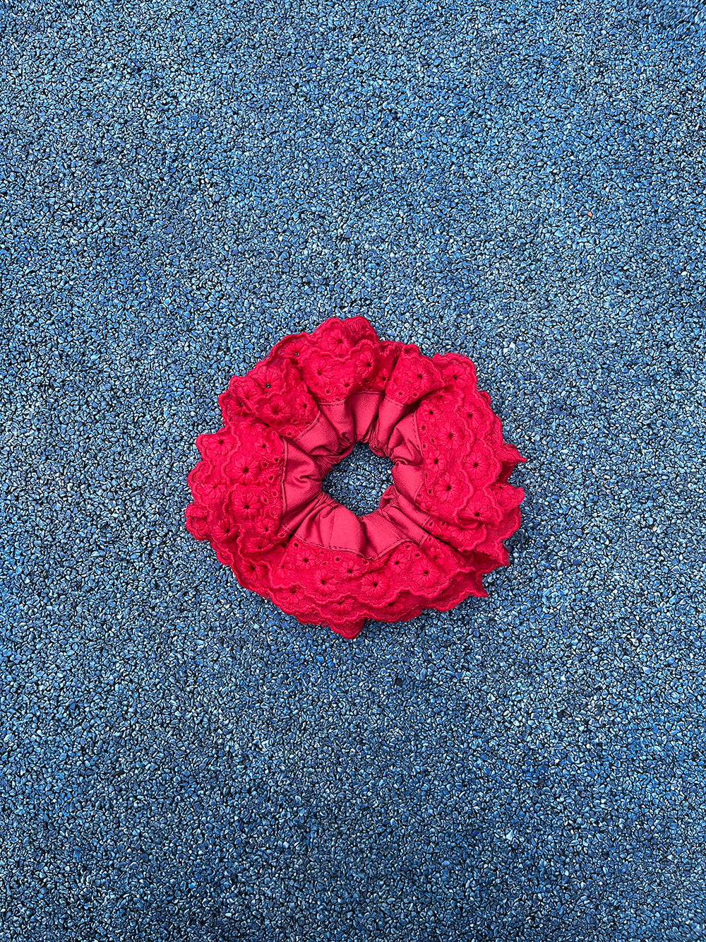 French Blue Red Daisy Embroidered