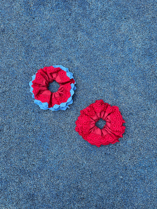 French Blue Red Daisy Embroidered