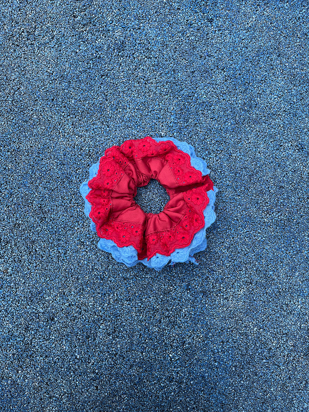 French Blue Red Daisy Embroidered